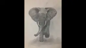 How to draw a realistic elephant in pencil