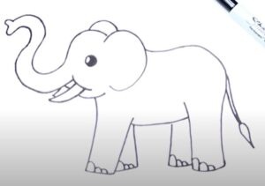 Easy step by step elephant drawing
