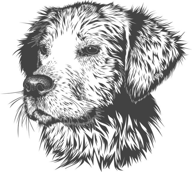 Drawing of dog's head in black and white