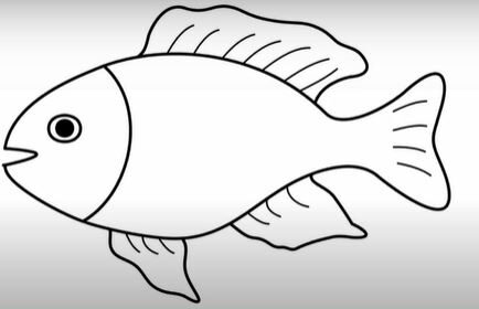 Easy fish drawing