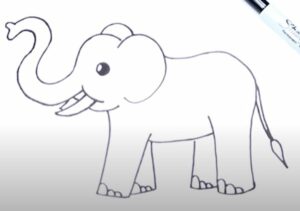 Very easy elephant drawing