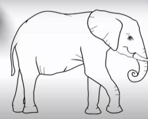 Easy Elephant Drawing Video