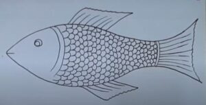Easy fish sketch