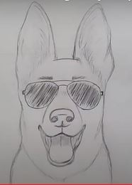 Easy German Shepherd Face Drawing with sunglasses