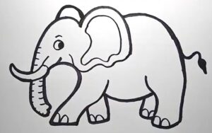 Elephant drawing with numbers