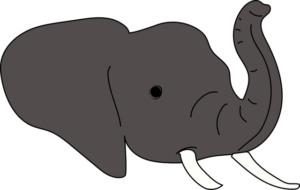 Elephant head drawings