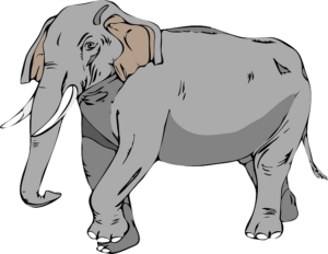Simple Grey Elephant Drawing