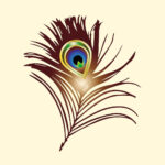 Peacock brown feather drawing with color