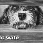 Free Dog Art Courses and Tutorials