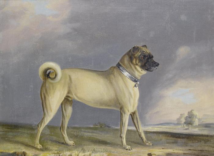 Henry Bernard Chalon - A Pug dog painting
