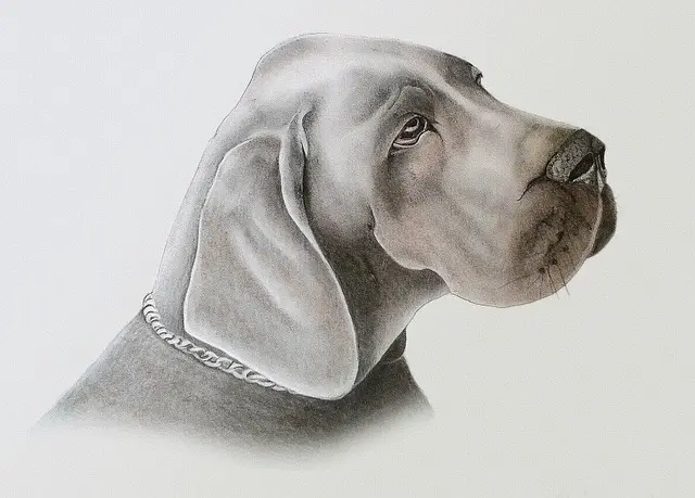Hound dog head pastel painting