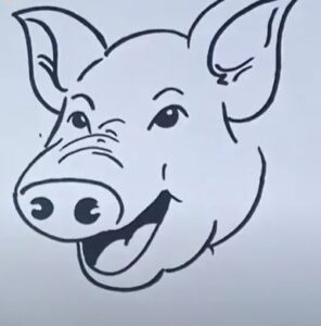 How to draw a pig face step by step