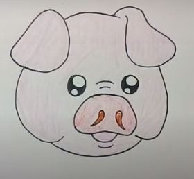 How to draw a cute pig face