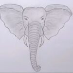 How to Draw an Elephant Face (4 Different Ways)