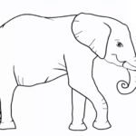 How to draw an elephant step by step