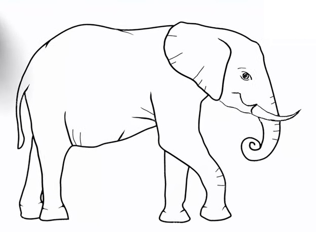 Drawing Line Sketch Portrait Elephant Vector Graphic Element PNG Images |  AI Free Download - Pikbest