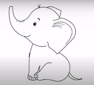 How to draw a baby elephant