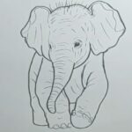 How to Draw a Baby Elephant (Easy & Step-by-Step)