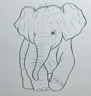 elephant drawing। 🐘🎨।🐘 🖌 | elephant drawing। 🐘🎨।🐘 🖌 This content  following;- elephant drawing for kids elephant drawing easy elephant drawing  images elephant drawing colour... | By Babli Vid Art | Facebook