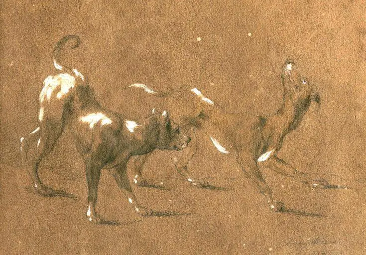 Hunting dogs drawing brown