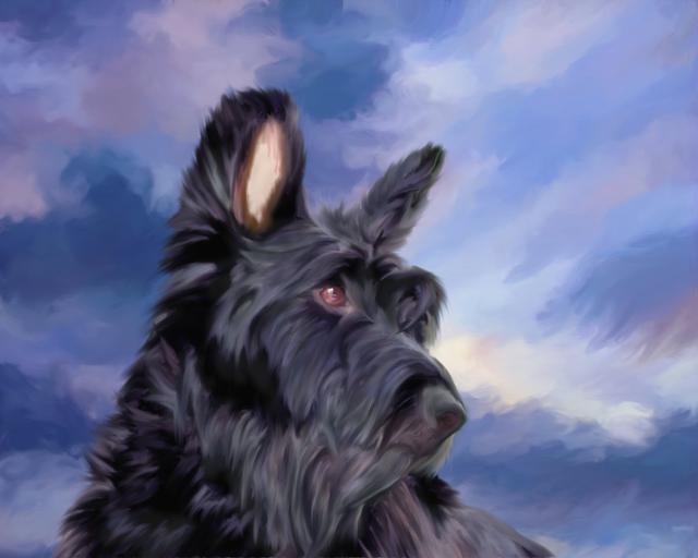 Canine painting