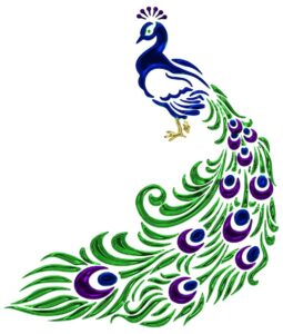 Simple peacock drawing in color with green feathers