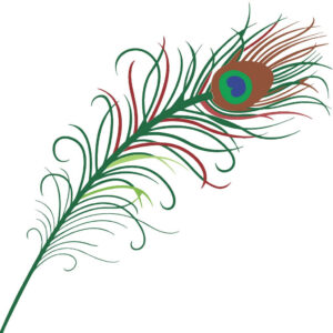 Green Peacock feather drawing