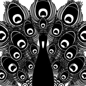 Peacock drawing black abstract