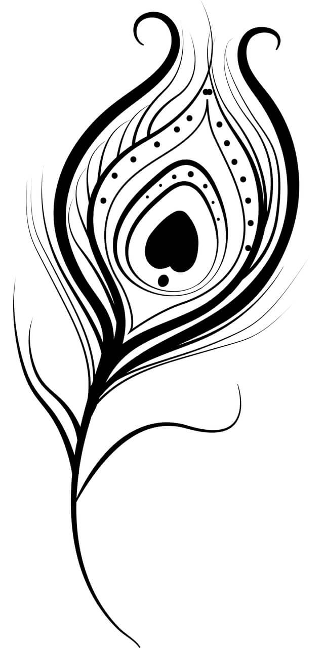 Ink black and white drawing of a falling feather Stock Photo Picture And  Low Budget Royalty Free Image Pic ESY061848092  agefotostock
