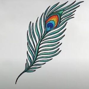 Simple peacock feather with color